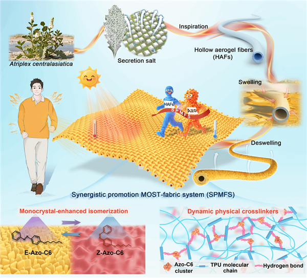光照12秒升至40℃ 天津大学神奇织物引领太阳能热利用新浪潮